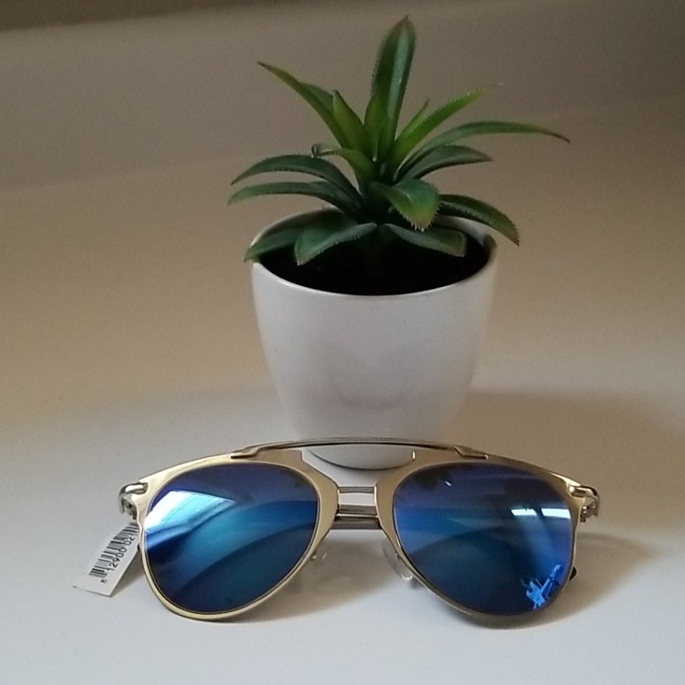 NWT Aquaswiss Reflective Sunglasses
